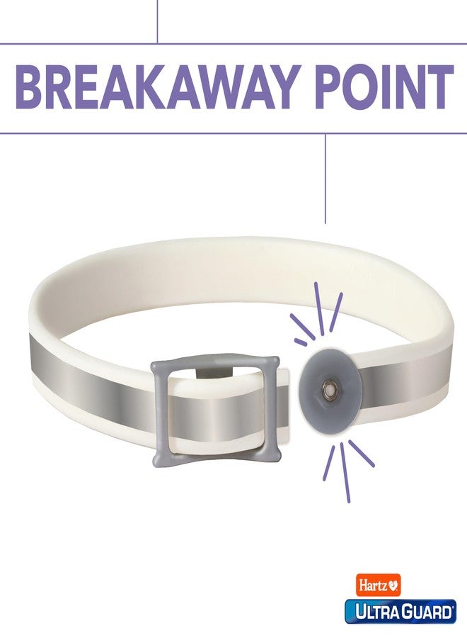 هارتز طوق هارتز ألترا جارد برو للوقاية من البراغيث والقراد للقطط والقطط الصغيرة، يوفر الحماية والوقاية من البراغيث والقراد لمدة 7 أشهر، طوق واحد - Image 4